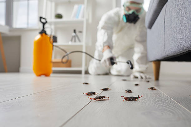 Commercial Kitchen Cockroach Control in Bunkie